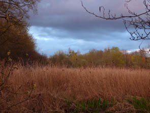 La vallée de l'Ysieux (Luzarches)